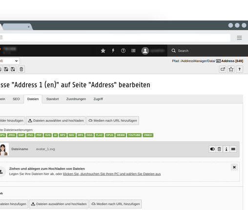 Address Manager file settings Specifying an image with multiple file extensions
