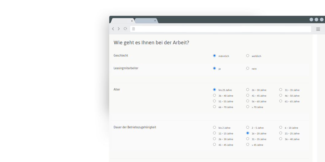 TYPO3 Poll Extension Radio Buttons TYPO3 Poll Extension Frontend Radio Buttons